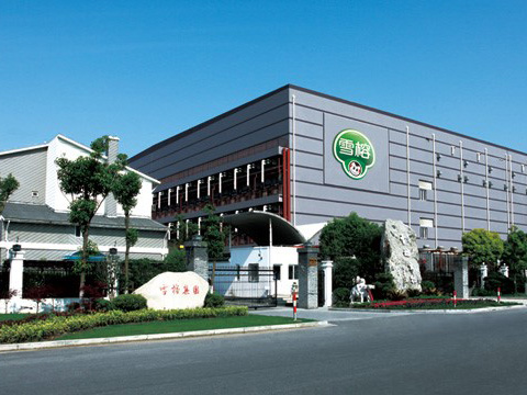 10噸、8噸 DZL 生物質(zhì)鍋爐