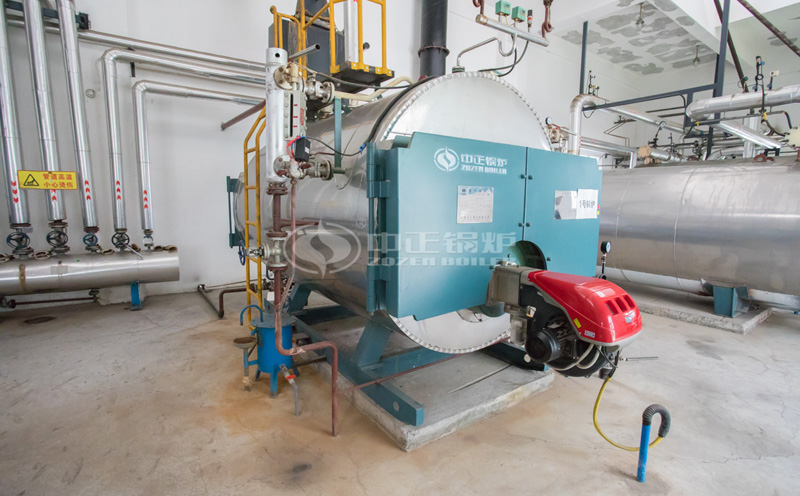 撬裝蒸汽鍋爐設(shè)備客戶案例圖片