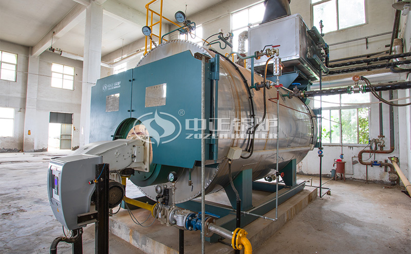 15噸燃?xì)忮仩t投資客戶案例圖片