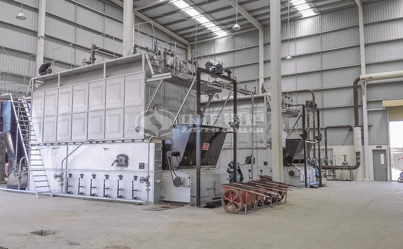 12噸生物質(zhì)蒸汽鍋爐價(jià)格多少客戶案例圖片