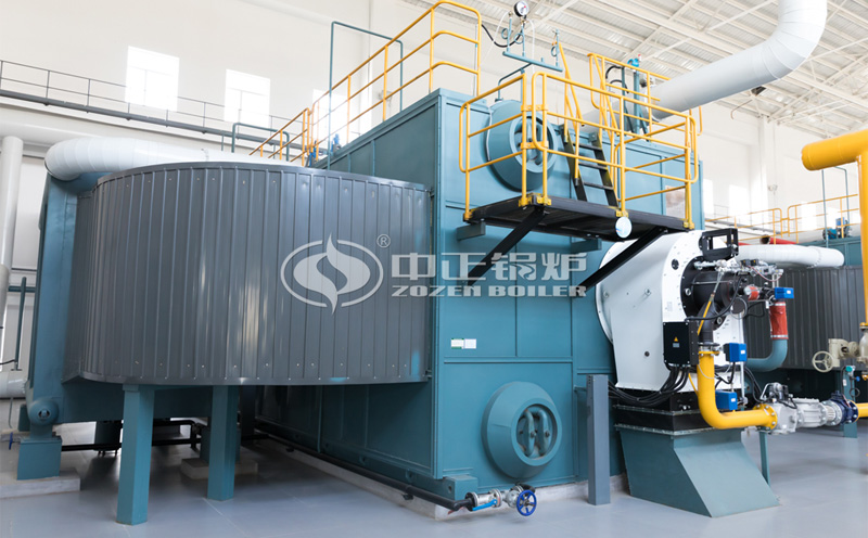 天津市29MW SZS燃?xì)鉄崴仩t項(xiàng)目