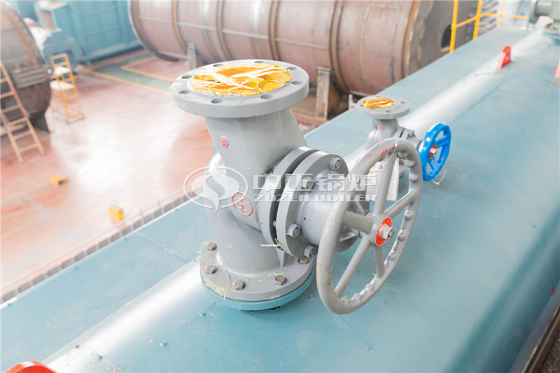 兩噸燃?xì)庹羝麪t制造廠