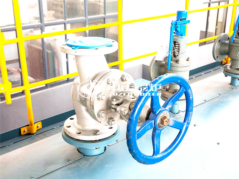 燃?xì)庹羝仩t廠家價格貴嗎